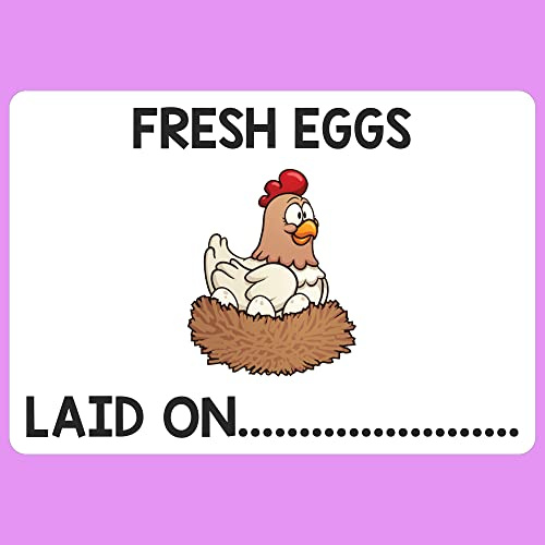 Chicken Egg Box Labels 180 Poultry Duck Personalised Carton Boxes Stickers Laid on