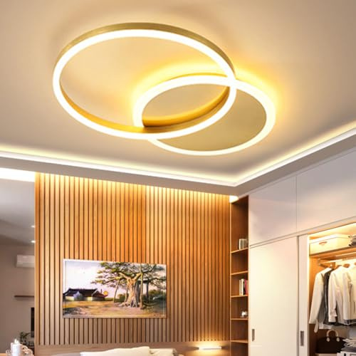 LED Deckenlampe Esstisch Modern Deckenleuchte Wohnzimmer Deckenlicht Acryl Lampenschirm Lichtfarbe/ Helligkeit 3000K-6000K Schlafzimmerlampe Küche Restaurant Leuchter Beleuchtung Gold L55cm W40cm