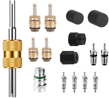 16uds Kit Núcleos Válvula Aire Acondicionado, Núcleos Válvula Servicio para R134a & R12/R22 Sistemas y Tapones Presión Reparación Puerto Carga Coches Camiones SUV Mantenimiento Sistema HVAC AC