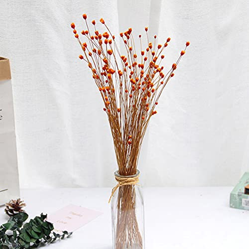 LIJUCAI 50 stücke Natürliche Simulationsblumen Importierte Trockenblumenstrauß Real Happy Flower Shooting Requisiten Klebriges Material Dekorativ, orange