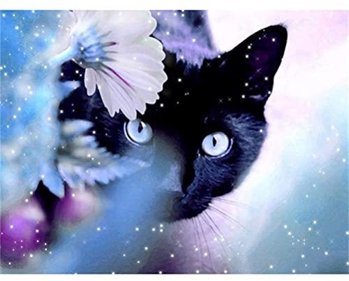 Meecaa Malen nach Zahlen Blume Katze Tier Chrysantheme Kit für Erwachsene Anfänger DIY Ölgemälde 40,6 x 50,8 cm (Blume und Katze, gerahmt)