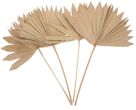 NIYANGLE Set 4 Pezzi Foglie di Palma Essiccate Naturali Ventaglio Decorazione da Parete Boho per Matrimoni Feste e Arredamento Casa