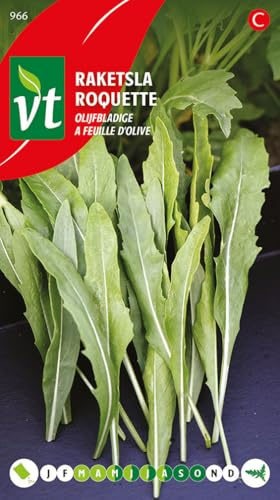 Arugula Pronto Olive Leaf Seeds per Gram - True Italian Specialty - 1 g - Seeds per Gram: 4000