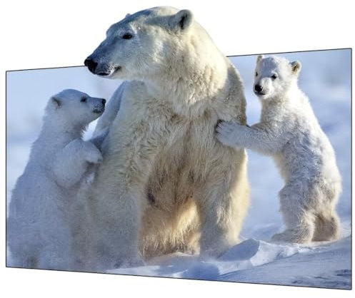 Wupro Gallery Fixed Frame Projector Screen Gray Crystal CLR with Slim Frame,Supports 4K/8K,HDR & Enhanced 3D,70 Inches for Standard/Long Throw Projectors in Low-Light Environments