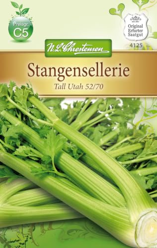 Chrestensen Stangensellerie 'Tall Utah 52/70'