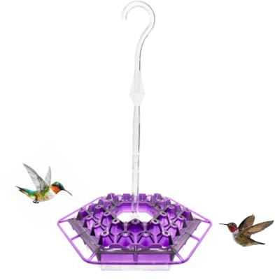 Lil Sweety mangeoires Hummingbird Feeder violet