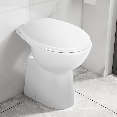 Plumbing - Inodoro alto sin bordes, cierre suave, 7 cm más alto, cerámica blanca, accesorios de fontanería