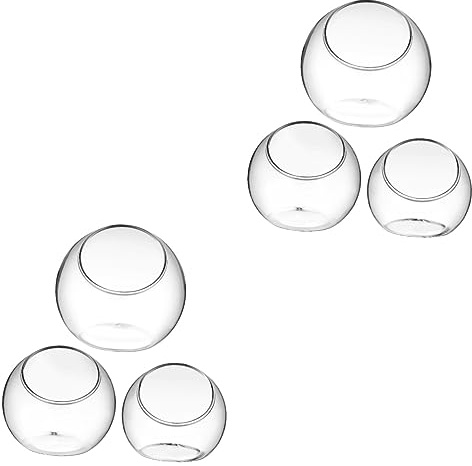 BCOATH 2 Sets Große Terrarienvase Für Zimmerpflanzen Luftpflanzen-terrarienglas Runde Form Für Home-Office- 3 Stück X 2