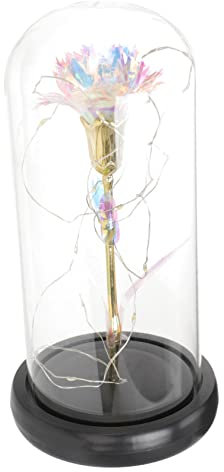 MUCKLILY Fleurs sous Cloche Verre Décoration pour Mères Carnation Éblouissante pour Original