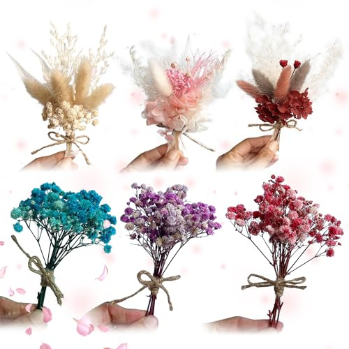 ysister Bündel Mini Trockenblumen Pack of 6 Trockenblumen Zum Basteln Dried Flowers Trockenblume Dried Flowers for Crafts for Picture Frames, DIY Home Party and Wedding Decoration