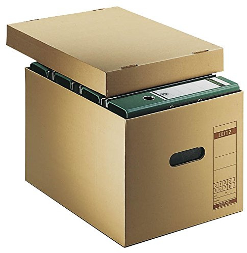 10 LEITZ Archivboxen 6081 / 32,5 x 44,0 x 28,0 cm
