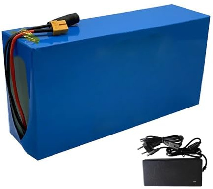 Batteria Per Bici Elettrica Da 48 V 100 Ah Con Protezione BMS, Batteria Agli Ioni Di Litio Impermeabile Per Bici Elettrica, Batteria Per Scooter Elettrico Con Caricabatteria XT60+DC