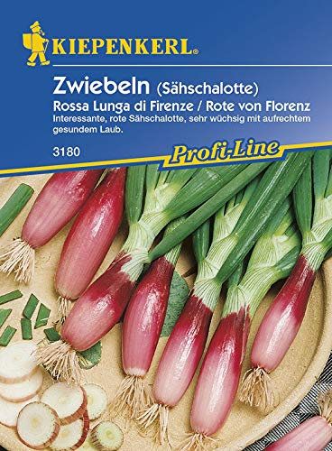 Kiepenkerl 3180 Lauchzwiebel Rossa Lunga di Firenze/Rote von Florenz (Zwiebelsamen)
