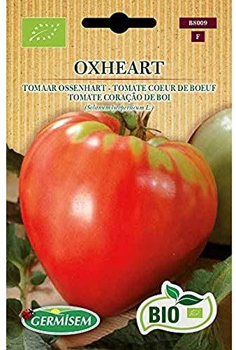 Germisem Biologico Oxheart Semi di Pomodoro 0.5 g
