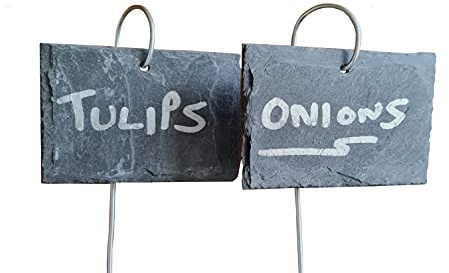 20 Natural Slate Weather Resistant Hanging Plant Labels Greenhouse Allotment Gardening Gift Price Tags Flower Markers 10cm x 6cm Landscape