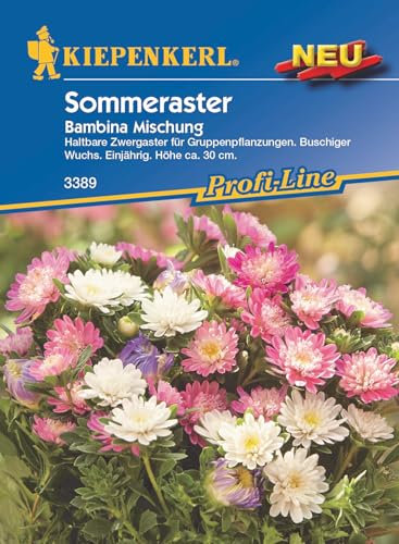 Kiepenkerl Profi-Line Zwergasternsamen Bambina Mischung 3389 – Sommeraster - für Gruppenpflanzungen - Einjährig - Höhe ca. 30 cm - Blumensamen, Saatgut