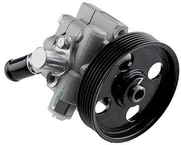 NTY Pompe de direction assistée SPW-PL-005 pour ORLANDO (J309) hydraulique