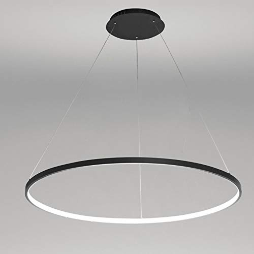 1-Licht Kreis Pendelleuchte LED Metall Acryl Kronleuchter Modern Hängend Verstellbar Hängeleuchte Für Wohnzimmer Schlafzimmer Küche,Black+WhiteLight-80cm