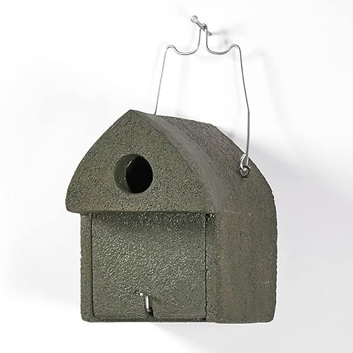 HASSELFELDT Nistkasten Holzbeton für Stare, Gartenrotschwänze & Mittelspecht | Brutkasten für Vögel Wetterfest | Vogelhäuser für draußen | Nisthaus für Vögel Draussen | Vogelhaus Specht