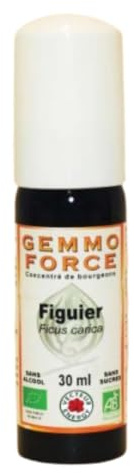 Gemmoforce Figuier BIo sans alcool spray 30ml Vecteur Energy