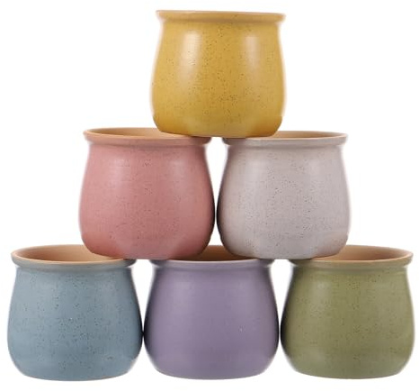 MOBUTOFU Vaso a Forma di Bottiglia in Ceramica per Piante Grasse e Cactus, Traspirante, Decorativo per Casa, Vasetti per Piantine in Terracotta, 6 Pezzi