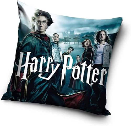 Harry Potter Kissenbezug, 40 x 40 cm, Polyester, quadratisch, HP214031