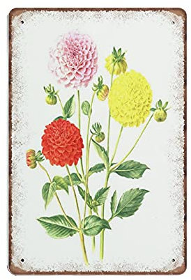 Rote Pom Pom Dahlie Blechschilder, 1964 Vintage botanisches gelbes Dahlie-Poster, lustiges Metallschild, Plaqu-Poster, Wandkunst, Kneipe, Bar, Küche, Garten, Badezimmer, Heimdekoration, 20 x 30 cm