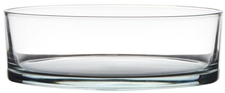 INNA-Glas Glasschale VERA EARTH, klar, 8cm, Ø25cm - Obstschale