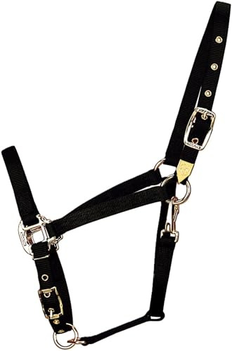 Hamilton Bauernhof Nylonhalfter mit verstellbarem Kinn, 2,5 cm, Schwarz – durchschnittliche Größe, Average, 800-1100 Pounds