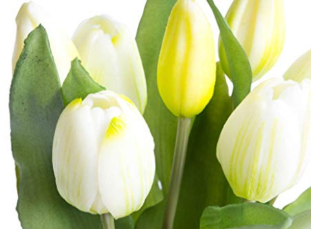 Nova-Nature künstliches Tulpenbündel Sally mit 4 Tulpen und 3 Tulpenknospen real Touch (Creme-weiß)