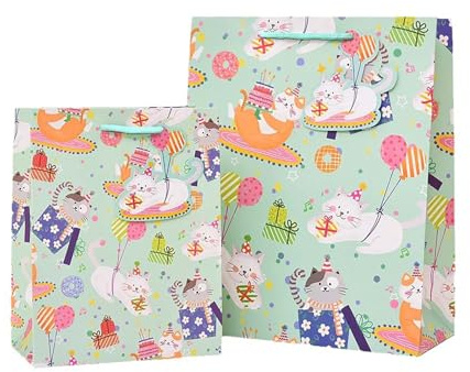 10 Stück Kleine Geschenktüten,Geburtstagstüten,Tüten Kindergeburtstag,Geburtstagstüten Kinder,Geschenktüten Kinder,Geburtstag Tüten,Give Away Tüten,18 * 23 * 10CM 5