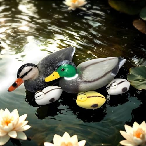 Gravidus Schwimmenten-Set 5-teilig – Schwimmende Deko-Enten Familie für Teich & Pool – Wetterfeste Kunststoffenten, realistisch bemalt