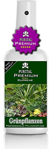 PURITAL Premium Grünpflanzen Spray - Zimmerpflanzenpflege - gesunde Blätter und üppige Blüten - Profi Nährstoffe und vitalisierende Blatt-Pflege. Zimmerpflanzen düngen - Dünger