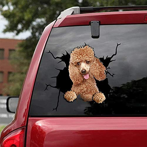Ocean Gift Pudel Auto Decals, Hund Autoaufkleber 2 Stück - Realistische Pudel Aufkleber für Autofenster, Wände Serie 55 Größe 30,5 cm x 30,5 cm