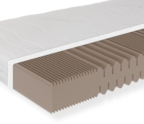 Sleepneo Matratze 100x200, Härtegrad H3, Höhe 18cm, 7 Zonen Kaltschaummatratze 100x200 cm, Antibakterieller Active Greenfirst Bezug ideal für Allergiker, waschbar mit 4-seitigem Reißverschluss