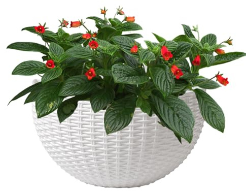 Olla de pared - Imitación de 10 pulgadas Floradora de interior ratán para plantas, soporte decorativo con función colgante segura, maceta elegante para orquídeas, begonias, petunias, impatiens