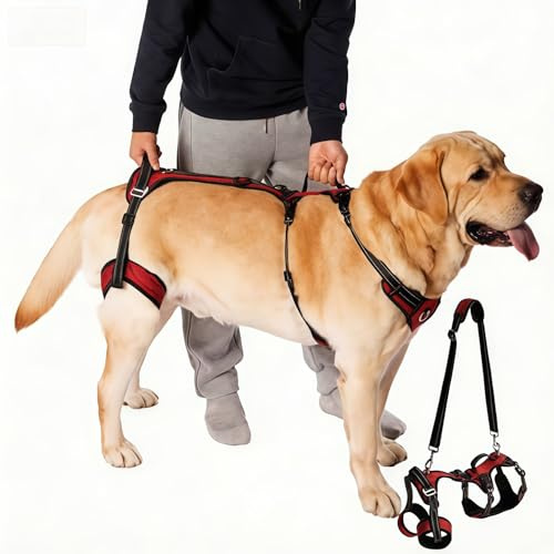Racocou 2-i-1 främre hundryggsäck, justerbar husdjursbärare, lätt att bära valpväska, handsfree, perfekt för vandring med små och medelstora hundar,XL