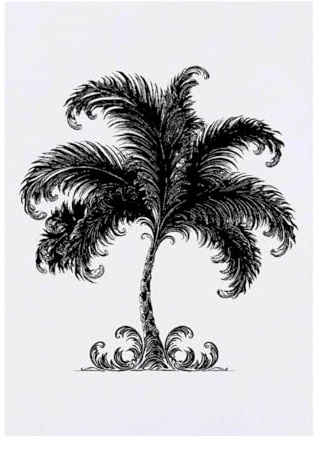 Azeeda 'Decorative Palm Tree' Temporary Tattoo - A6 (TO00102559) | Water Resistant Skin Safe Transfer for Parties, Costumes and Gifts