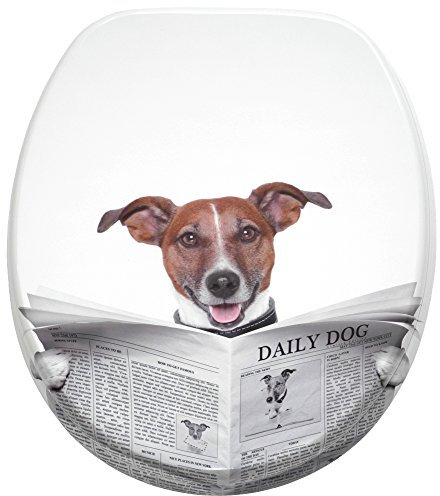 Sanilo WC Sitz mit Absenkautomatik, hochwertiger Toilettendeckel, einfache Montage, stabile Scharniere, Newspaper