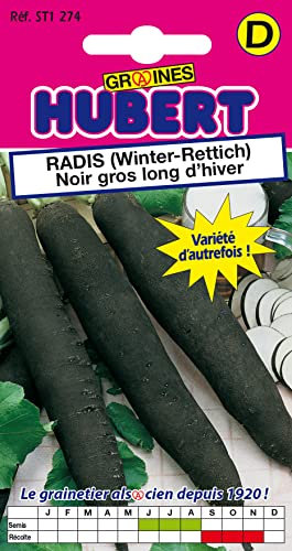 Graines de Radis Noir Gros Long d'Hiver - 8 grammes