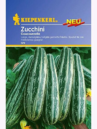 Zucchini Courcourcelle von Tripolis