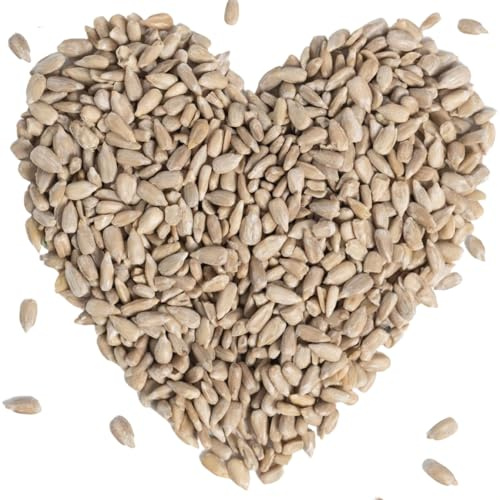 Lyra Pet® | 20 kg Geschälte Sonnenblumenkerne | HK Bulgarien | Wildvogelfutter für das Ganze Jahr | Hochwertiges Schalenfreies Streufutter | Schnabelgerechter Gourmetsnack | Für Alle Körnerfresser | Ganzjähriges Wildvogelfutter - Ideal für Jungtiere - Wertvolles Streufutter - Energiespender ohne Schale - Sommer und Winter