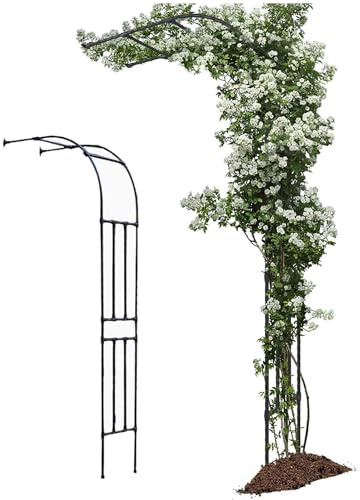 Demi-arche noire pour plantes grimpantes en métal - Treillage mural - Demi-pergola - Parfait pour tout type de treillis - L 120 x H 240 cm