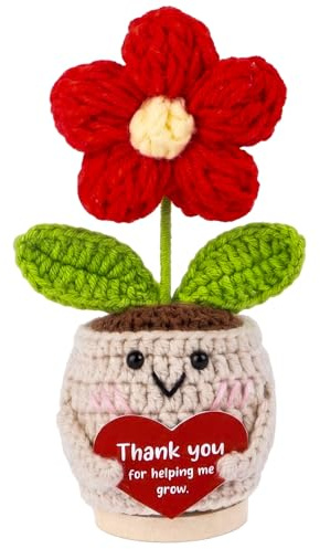 Teacher Gifts for Women,Thank You For Helping Me Grow,Crochet Flowers Red with Thank You Card, Positive Doll Gift for Nursery Teacher Friends Colleagues Mum,Decorative Accessories, Hanging Ornaments