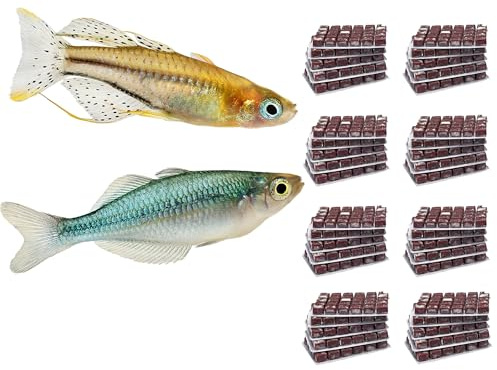 NatureHolic Frostfutter Mix Regenbogenfische | 24 Blister á 100g | Artemia Mückenlarven Copepoden Gammarus Daphnien Cyclops Muschelfleisch Garnelen | Schockgefrostetes Naturfutter