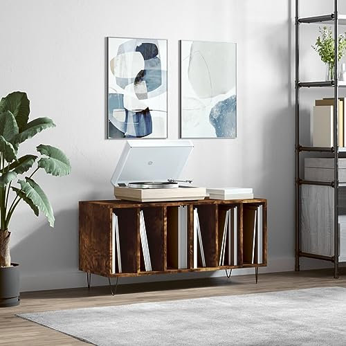 LLEZKBR Möbelstück-Recordschrank Räuchereiche 100x38x48cm Holzwerkstoff