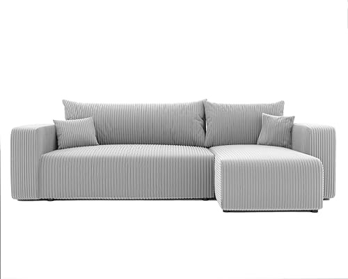 Ecksofa mit Schlaffunktion und Bettkasten 248 x 145 cm Hellgrau