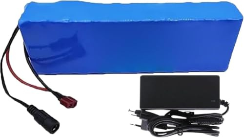 XYFGODEM Batería de Iones Litio 24V 40Ah for Bicicletas eléctricas y patinetes eléctricos con BMS Cargador