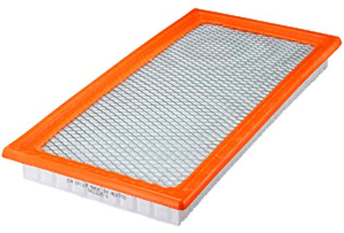 FRAM Extra Guard CA10118 Replacement Engine Air Filter for Select Dodge and Jeep Models, Provides Up to 12 Months or 12,000 Miles Filter Protection
