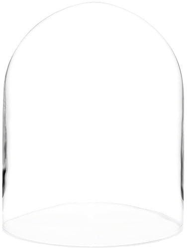 Plymor 8 x 10.25 Glass Display Dome Cloche (no Base)